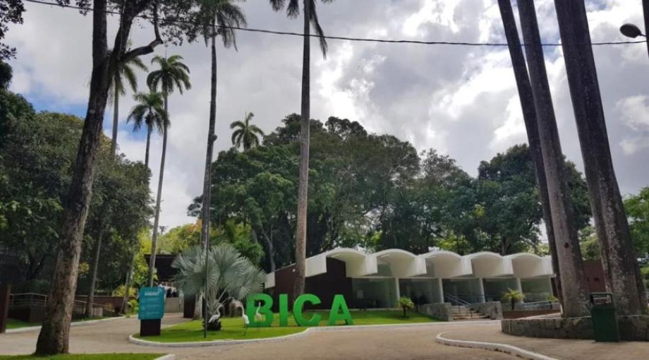 Foto: PMJP / Divulgação