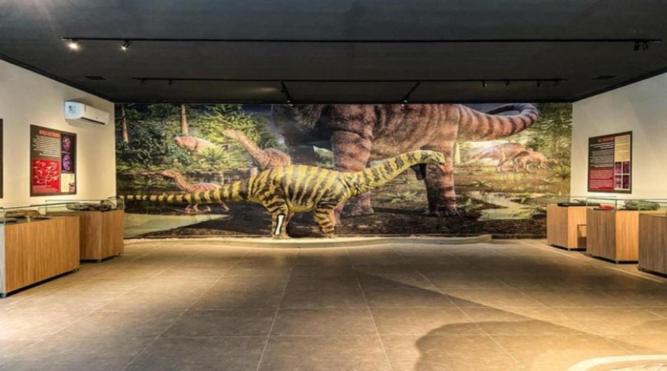Foto: Sudema / Divulgação