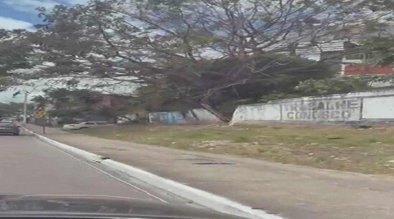 Foto: Arquivo Pessoal / Portal ClickPB