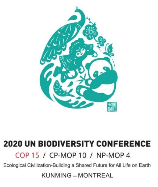 A COP15 em Montreal: uma nova conferência sobre a biodiversidade 