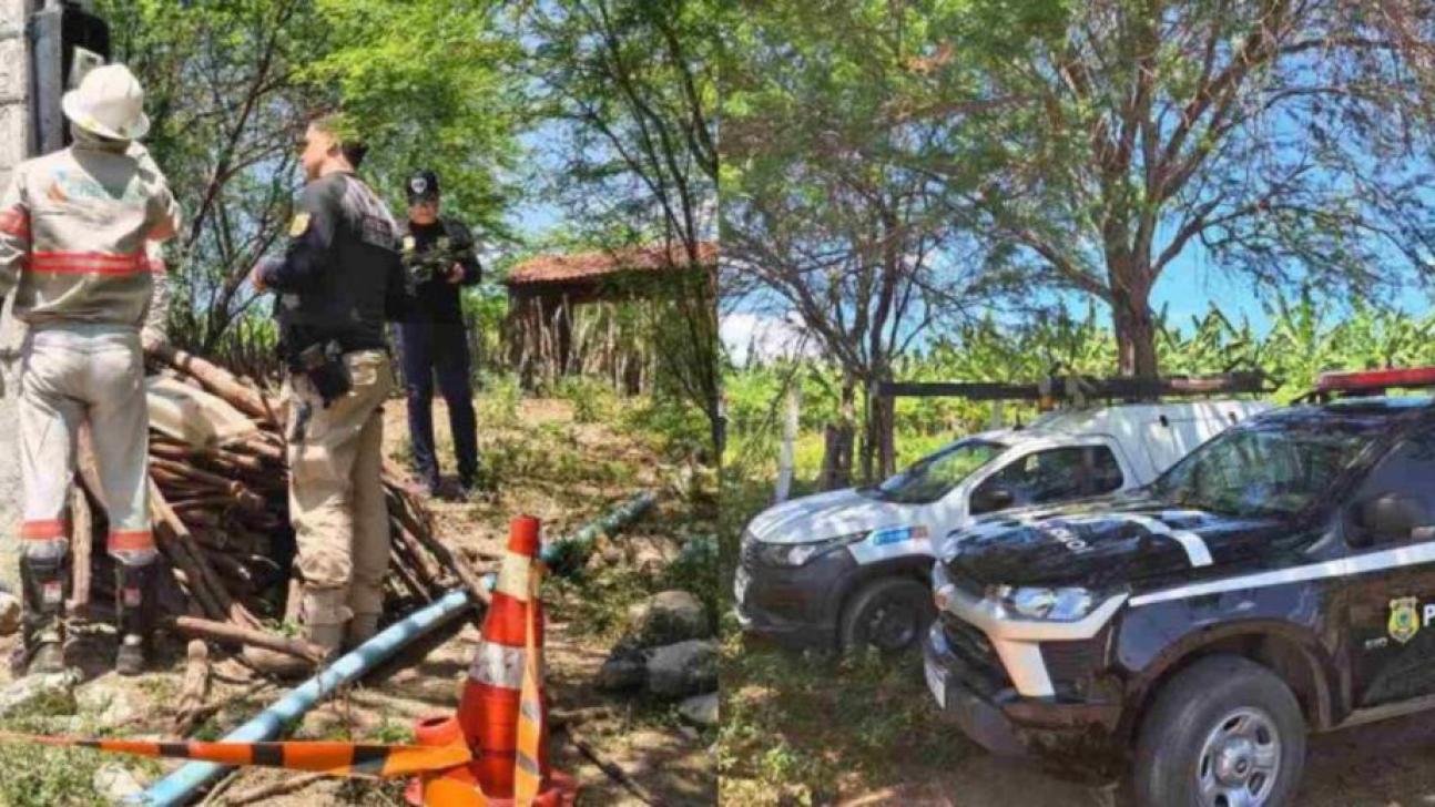 Imagens da operação conjunta - Foto: reprodução/Energisa Paraíba