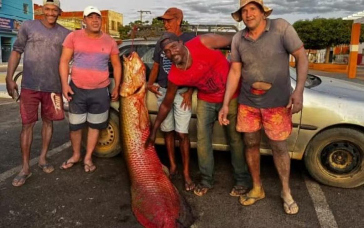 Divulgação: Arquivo Pessoal