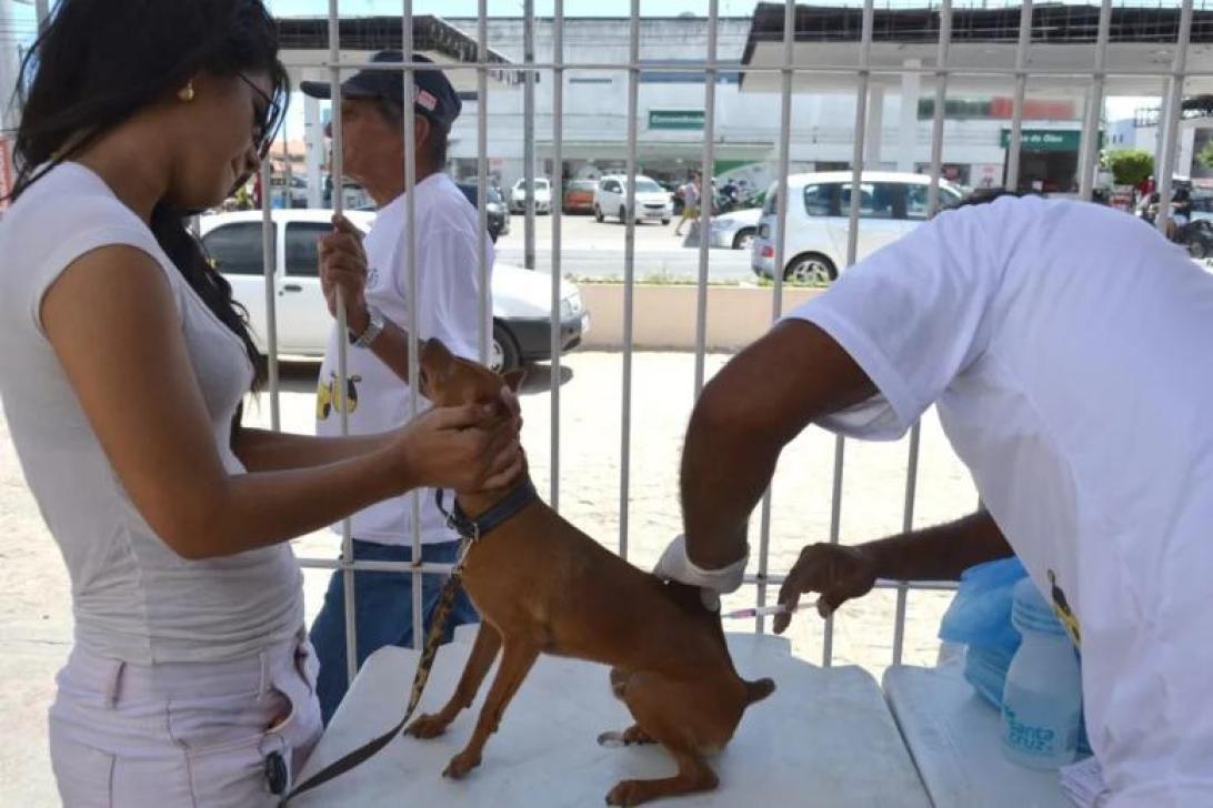 Foto: Secom/ Prefeitura de João Pessoa