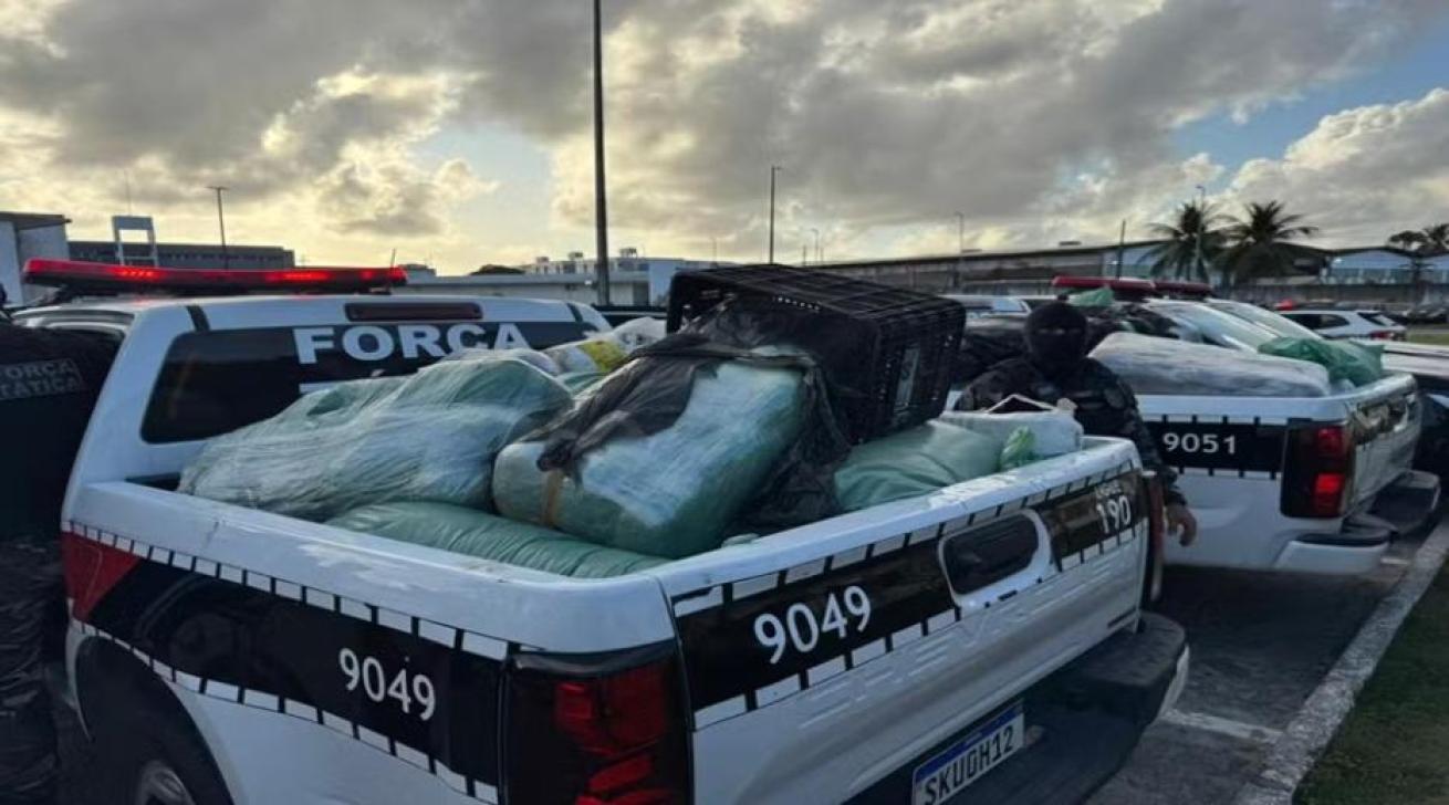 Foto: Divulgação / Polícia Militar